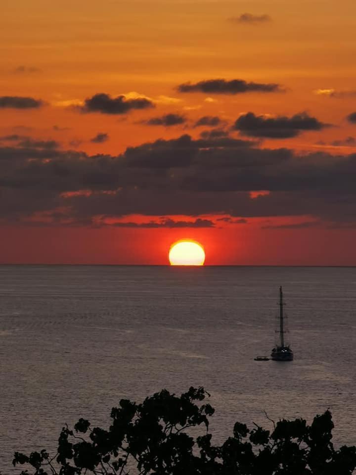 Villa Manolo Ocean And Forest View Hotel Drake Bay Zewnętrze zdjęcie